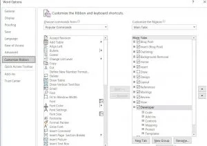 an image of how to switch on developer tab